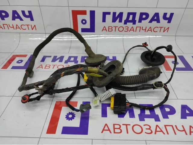 Проводка двери задней правой Hyundai Genesis 916603M090