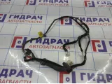 Проводка двери задней правой Hyundai Getz 91830-1C020.