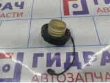 Крышка топливного бака Hyundai Getz 31010-38600.