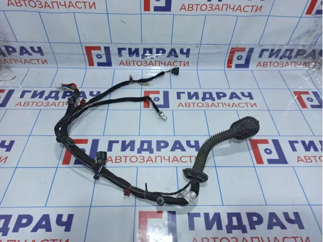 Проводка двери передней левой Hyundai Getz 91801-1C081