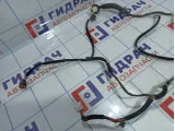 Проводка двери задней левой Hyundai Getz 91820-1C021