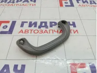 Ручка потолочная внутренняя Hyundai Grand Starex/Starex H1 (TQ) 844804H000KD