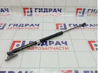 Амортизатор крышки (двери) багажника правый Hyundai Grand Starex/Starex H1 (TQ) 817804H010