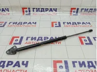 Амортизатор крышки (двери) багажника левый Hyundai Grand Starex/Starex H1 (TQ) 817704H010