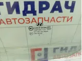 Стекло двери передней левой Hyundai Grand Starex/Starex H1 (TQ) 824104H010