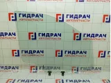 Стекло двери передней левой Hyundai Grand Starex/Starex H1 (TQ) 824104H010