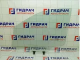 Стекло двери передней правой Hyundai Grand Starex/Starex H1 (TQ) 824204H010