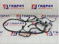 Проводка двигателя Hyundai Grand Starex/Starex H1 (TQ) 918904H860