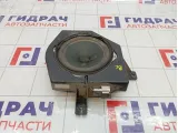 Динамик задний левый Hyundai Grand Starex/Starex H1 (TQ) 963604H000