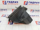 Корпус воздушного фильтра нижний Hyundai Grand Starex/Starex H1 (TQ) 281124H000