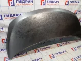 Капот Hyundai Grand Starex/Starex H1 (TQ) 664004H011