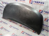 Капот Hyundai Grand Starex/Starex H1 (TQ) 664004H011