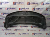 Капот Hyundai Grand Starex/Starex H1 (TQ) 664004H011