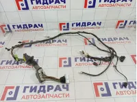 Проводка двери передней левой Hyundai Grand Starex (TQ) 91600-4H050