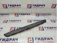 Решетка в бампер центральная Hyundai Grand Starex (TQ) 86580-4H000