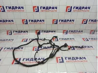Проводка подкапотная Hyundai Grand Starex (TQ)
