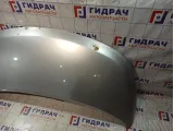 Капот Hyundai Grand Starex (TQ) 66400-4H000