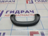 Ручка внутренняя потолочная Hyundai Grand Starex (TQ) 844804H000KD