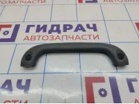 Ручка внутренняя потолочная Hyundai Grand Starex (TQ) 844804H200KD