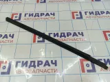 Уплотнитель стекла двери передней левой Hyundai Grand Starex (TQ) 82231-4H000