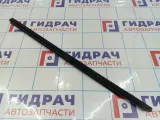 Уплотнитель стекла двери передней левой Hyundai Grand Starex (TQ) 82231-4H000