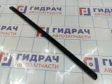 Уплотнитель стекла двери передней левой Hyundai Grand Starex (TQ) 82231-4H000