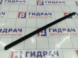Уплотнитель стекла двери передней правой Hyundai Grand Starex (TQ) 82241-4H000