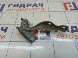 Петля капота левая Hyundai Grand Starex (TQ) 79110-4H000