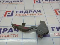 Петля капота правая Hyundai Grand Starex (TQ) 79120-4H000