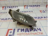Фара противотуманная правая Hyundai Grand Starex (TQ) 92202-4H000