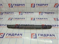 Решетка в бампер центральная Hyundai Grand Starex (TQ) 86580-4H000