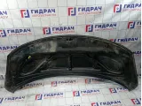 Капот Hyundai Grand Starex (TQ)