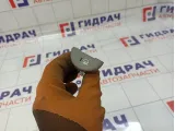 Кнопка противотуманки Hyundai Grand Starex (TQ) 937404H000KD