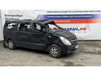 Hyundai Grand Starex (TQ)