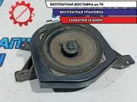 Динамик задний правый Hyundai Grand Starex TQ-2 963604H150.