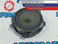 Динамик передний правый Hyundai Grand Starex TQ-2 963304H050.