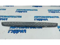 Решетка в бампер центральная Hyundai Grand Starex TQ-2 865804H000.