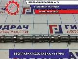 Распредвал впускной Hyundai Grand Starex TQ-2 24100-4A000.