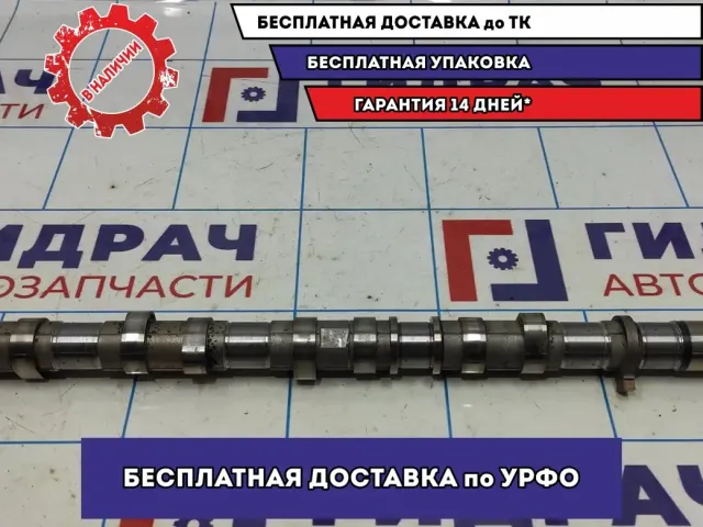Распредвал впускной Hyundai Grand Starex TQ-2 24100-4A000.