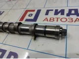 Распредвал впускной Hyundai Grand Starex TQ-2 24100-4A000.