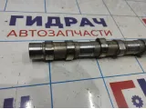 Распредвал впускной Hyundai Grand Starex TQ-2 24100-4A000.