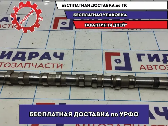 Распредвал выпускной Hyundai Grand Starex TQ-2 24200-4A400.