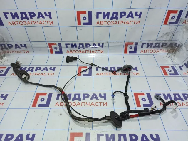 Проводка двери задней левой Hyundai Grandeur (TG) 91650-3L020