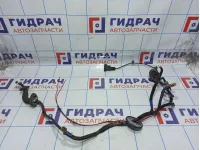 Проводка двери задней правой Hyundai Grandeur (TG) 91660-3L020