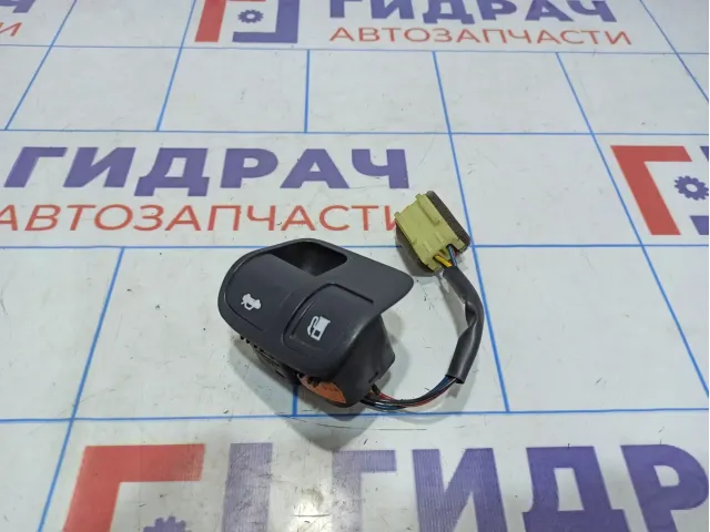 Кнопка открывания багажника Hyundai Grandeur (TG) 935553L000WK