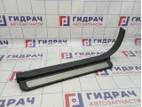 Накладка порога внутренняя передняя правая Hyundai Grandeur (TG) 858813L001WK