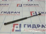Амортизатор крышки багажника Hyundai Grandeur (TG) 81771-3L000