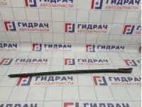 Накладка лобового стекла левая Hyundai Grandeur (TG) 86138-3L000