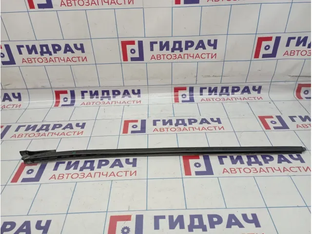 Накладка лобового стекла правая Hyundai Grandeur (TG) 86139-3L000