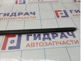 Накладка лобового стекла правая Hyundai Grandeur (TG) 86139-3L000
